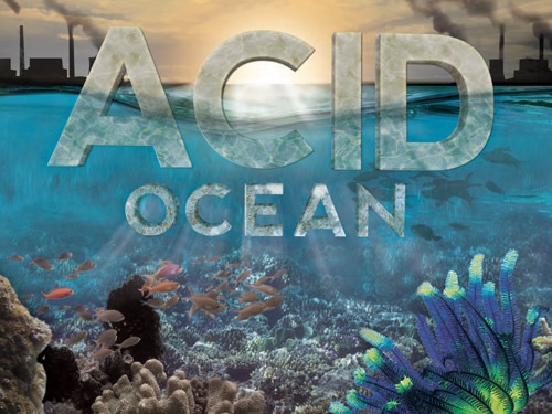 27 to 30 Oct - Acid Ocean